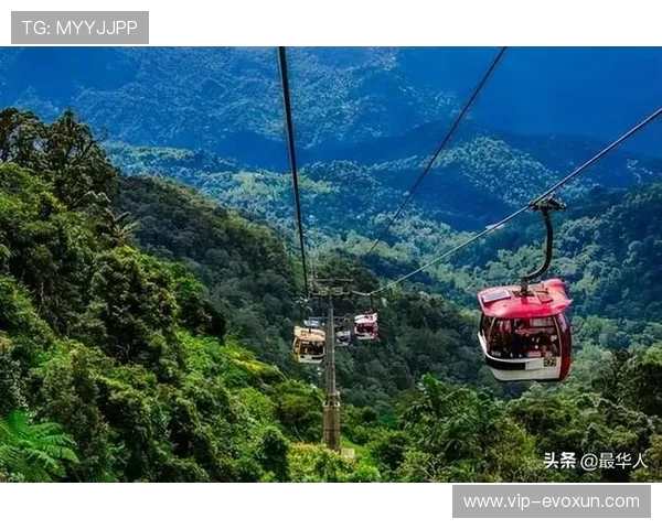 马来西亚赌场云顶是谁开的，分析其企业发展历程与主要股东情况