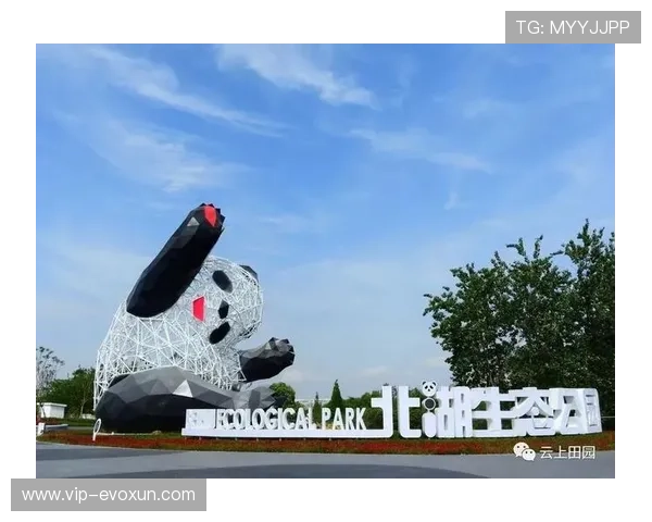 DB真人旗舰·集团合作伙伴介绍：共建共赢的行业生态圈